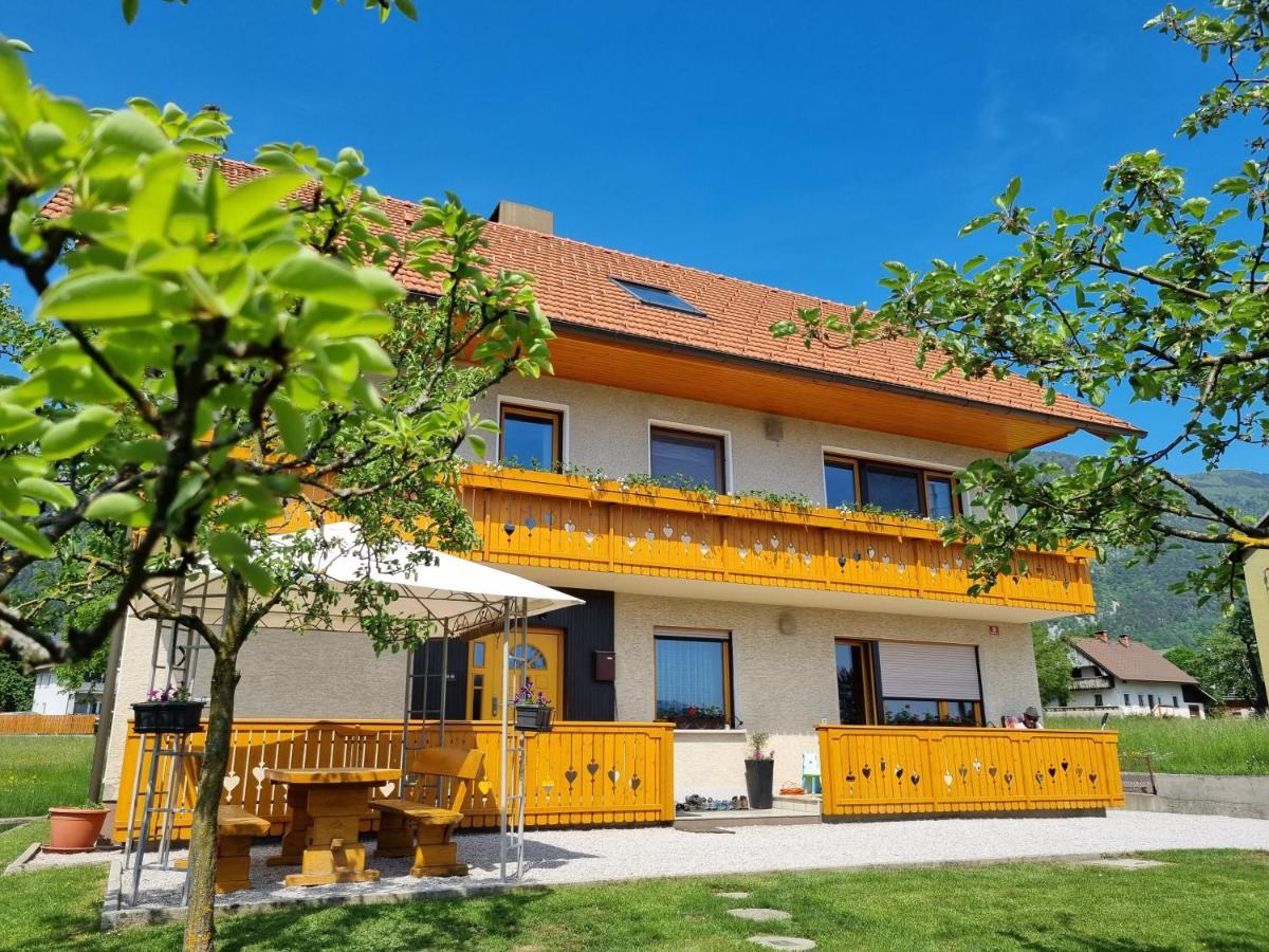Apartma Ana In Manca Begunje na Gorenjskem Eksteriør bilde